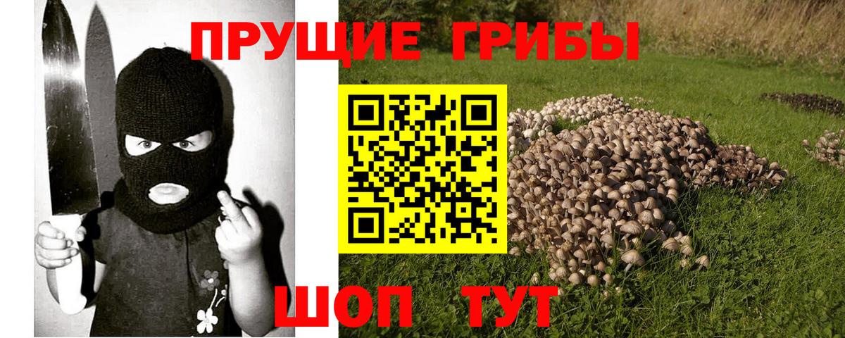 Лянтор  Псилоцибиновые грибы Psilocybe  Вход с VPN 