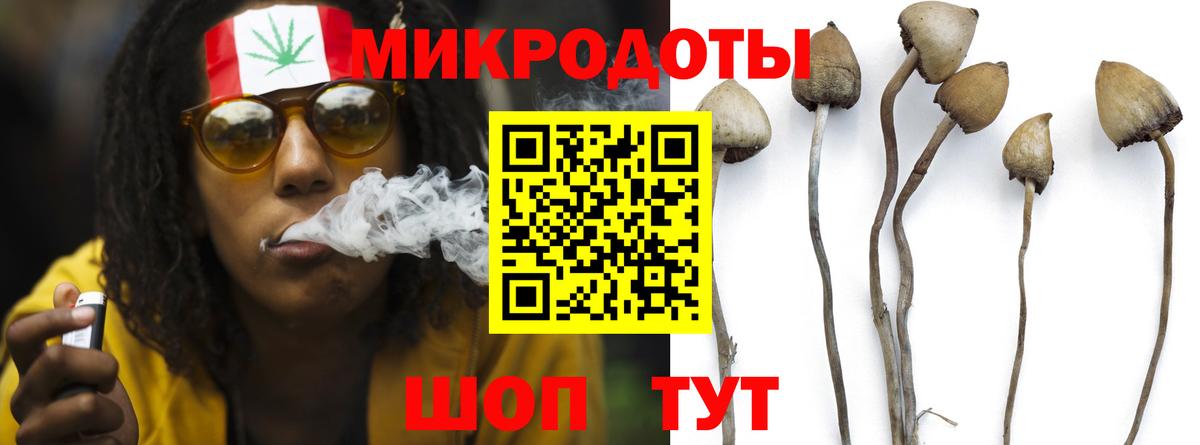 Галлюциногенные грибы Psilocybe Лянтор